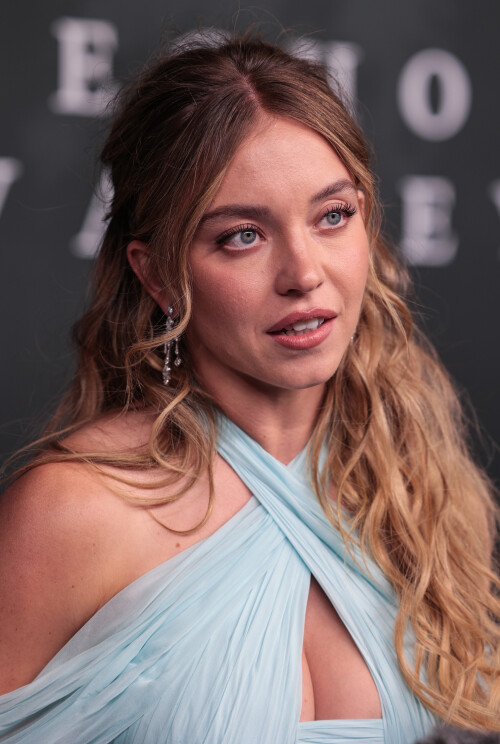 de77b940a077e81c06eed93ea19d2405