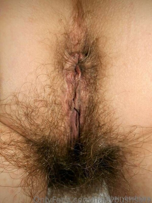 e0954bb129d2c656d50c25b1278f29bb