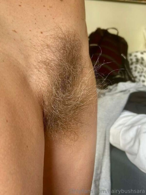 e393efa97b536cde0ec5b4065c628d3b