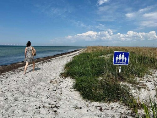 e3e942d419469ca2d98817a2deff5e8b