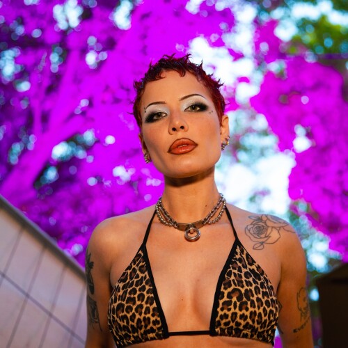 e5e46f0278bf711ed12d6cfbc822f83b