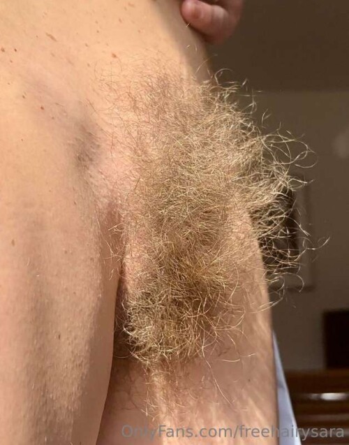 e784de9c22504e35e5515aeb27398ea4