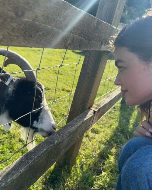 f4950c5d5ca6bcfc8c36a2b4014cfe26