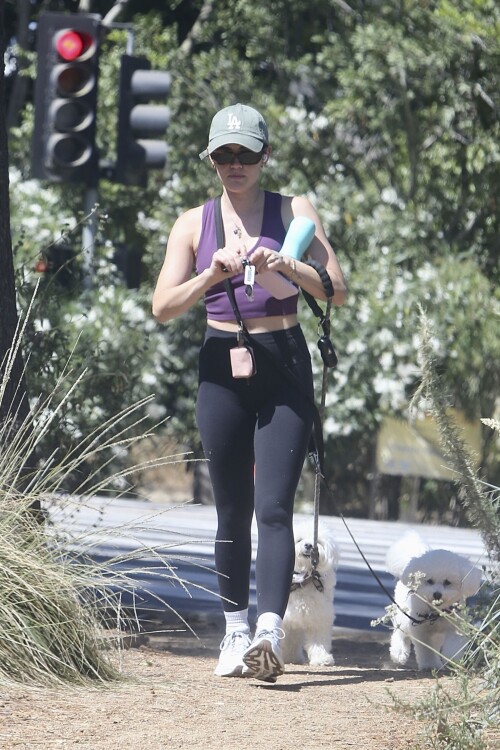 f5cc1812b1610954225360227a139bb7