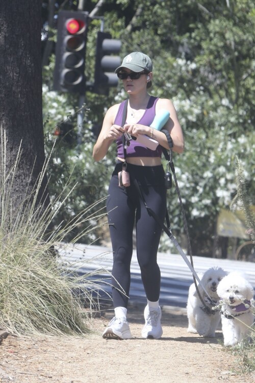 faed7811d6122484b3a1013d05342f50