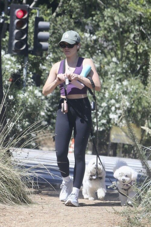 ff12447a5358e54461c39c2e085b7704