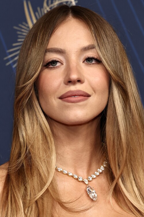 0d03e9a1d0d879049fc1a2cb62ee5dbd