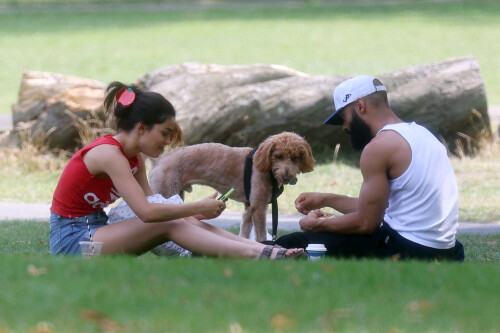 27033c7893cf2e477f1799690b70e6ef