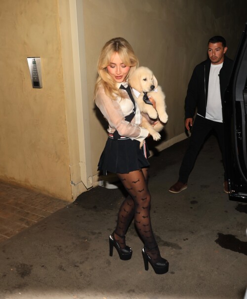 2a2efa16eb8c2a247c36415a65136558