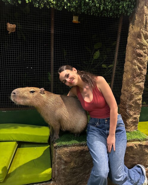 2e5a58039c435095eacb7e0b7b401037