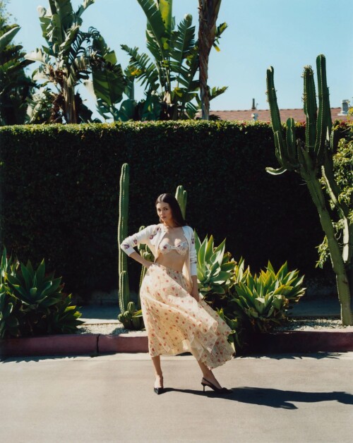 3f3b8122a33a5dd5beec8c3a3be538c8