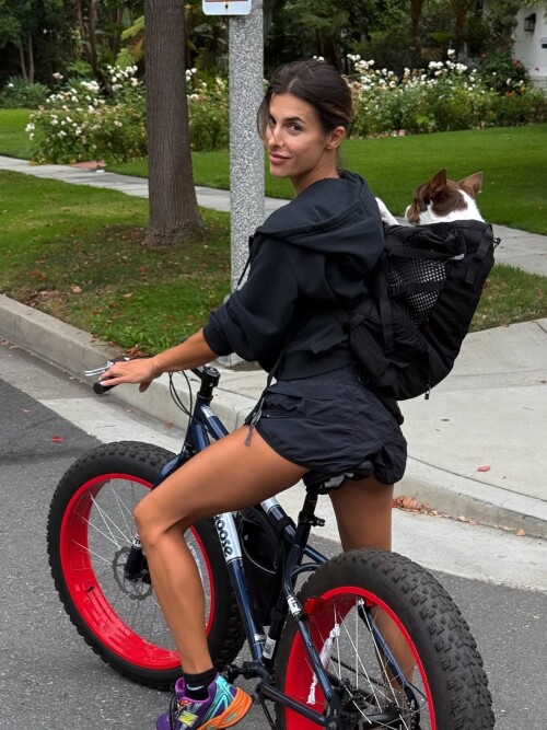 7b66e1877d50e69bab0e9b09e1a7ed3e