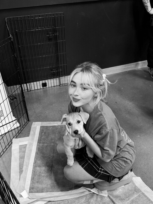 838f67dc412fa2b08a5405eb3a075218