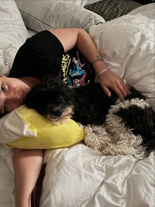 a2fbd4fab204b80a8a308cdcfa368033