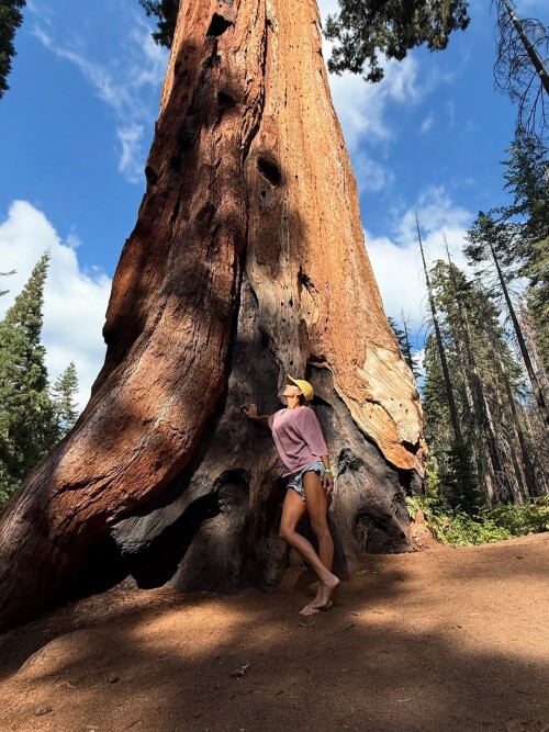 a5799181b1ce3487e688247f04c6dbf3