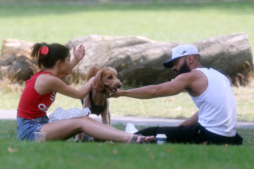 d5baf8914c0c30cf4e0b909acbdc24fe