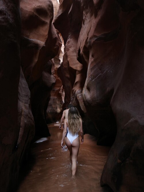 f47b76c019b9980bdec98f2bbc3508fc