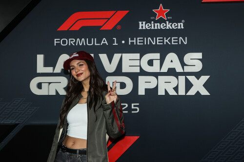 f700fd0887945048f108daa839903590