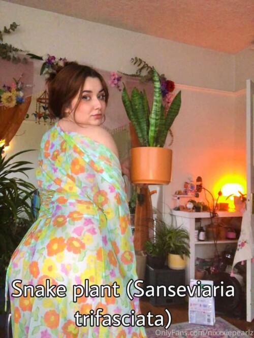 e6278f093ca4ee2cbad47f9eacea73f5