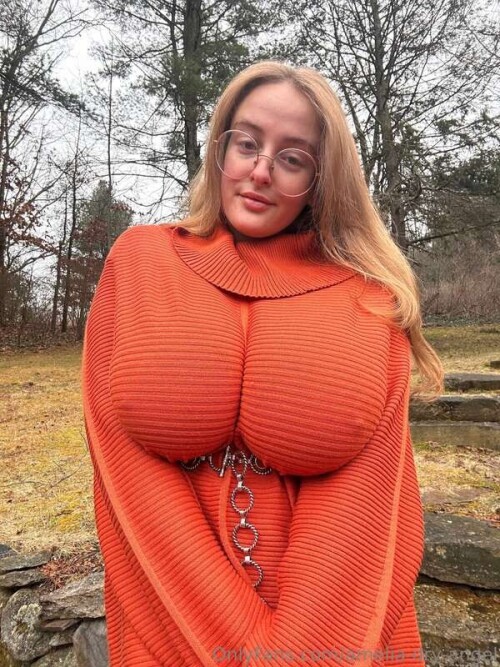 e8de5eafbd58996a6dff4c3e193a4644