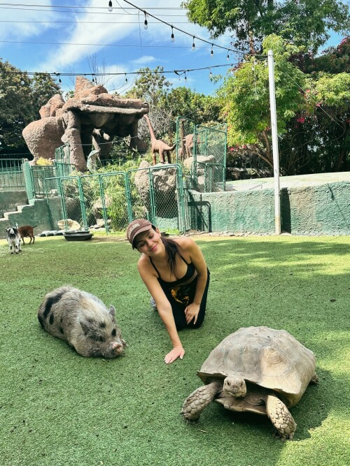 b28635184ba2cd2b921c5f5222371824