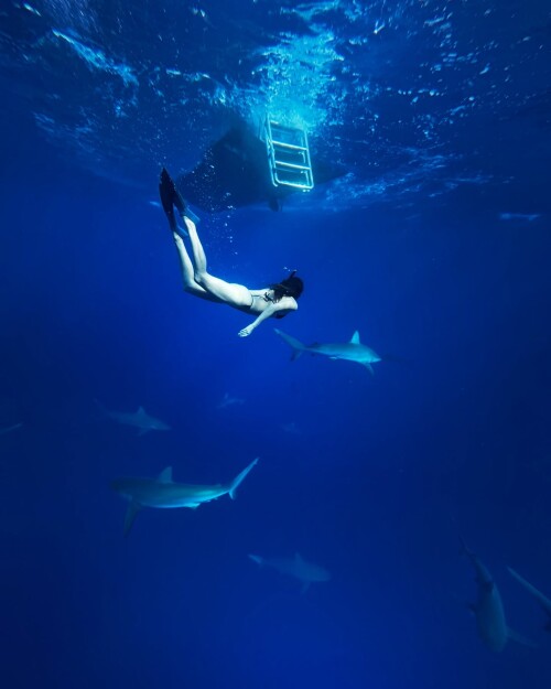 fc644d8a40d352fa605cbdab6ea30723