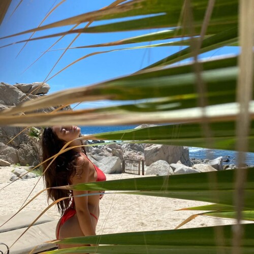 06e1c4d143f7dcb926bcb3a53fd11176