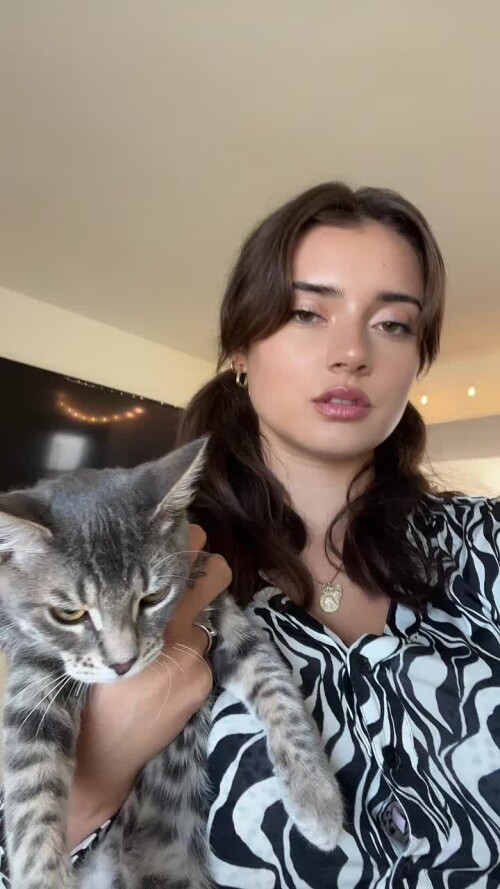 0afa07812315ce533ad58c50df07e39b