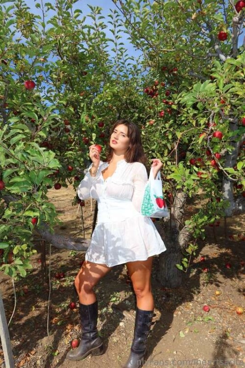 56d65320353c3f1f311adf09543f0966