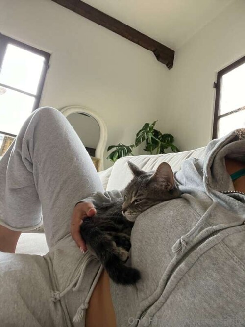 67a732c50bd73dfa6ab20419d852c1a8