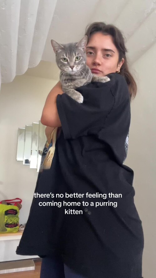 729209fb3309576c7fc69b369d909275