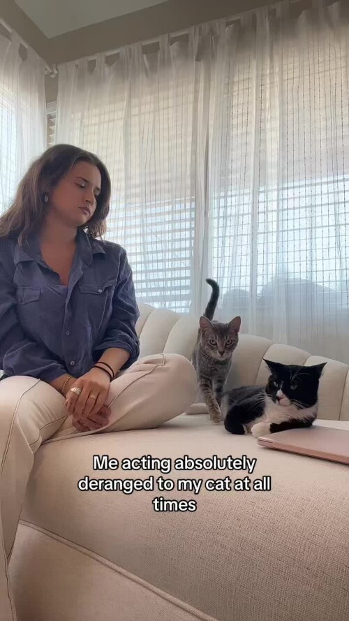 9f8efb9e174a9a9db4d890e5778438c1