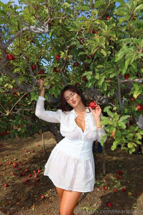 c1054c781a856e6e894dc5cdacfa25ab