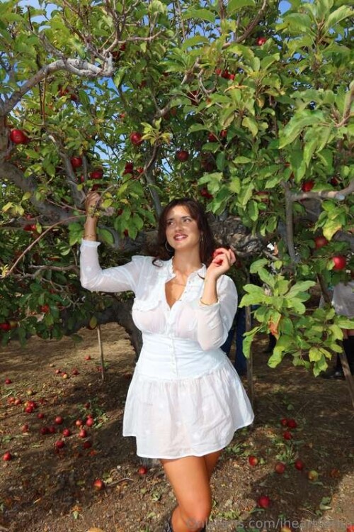 c36bf61a0d7a2fffcdc0ed782b8f506b