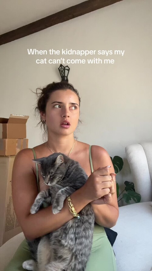 c656d976f34fd785b1af7c6d50c14558