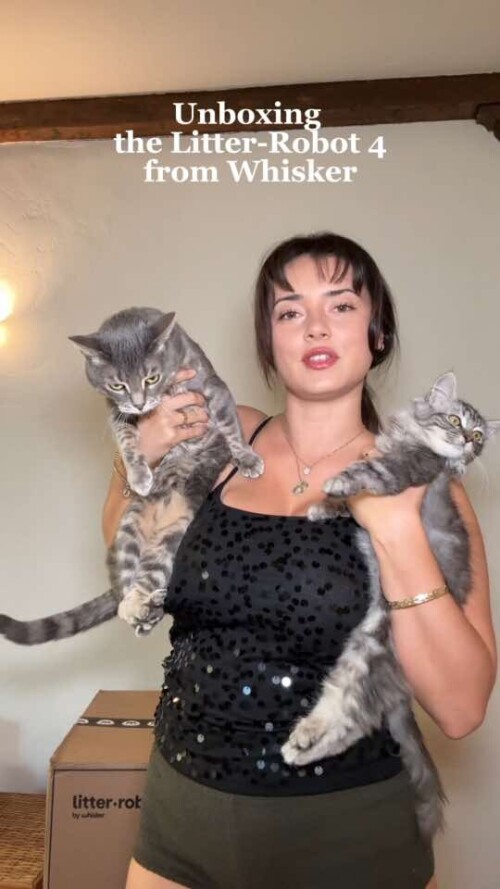 c94a8b419446e2f979085a93fe655d6b