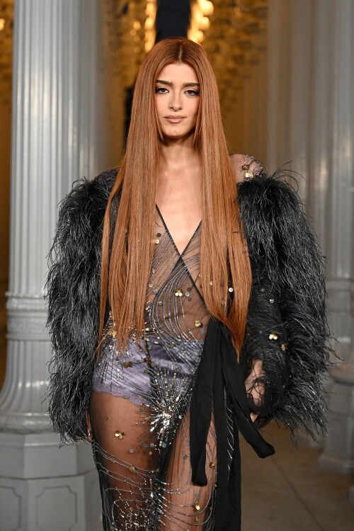 cd711163ee3d8426160facff586df410