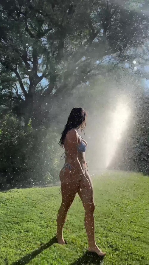 ee94bd62ec2498a01d216d35c9d9686f