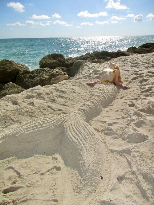 efc430a040e593b81c6089077ac36c92