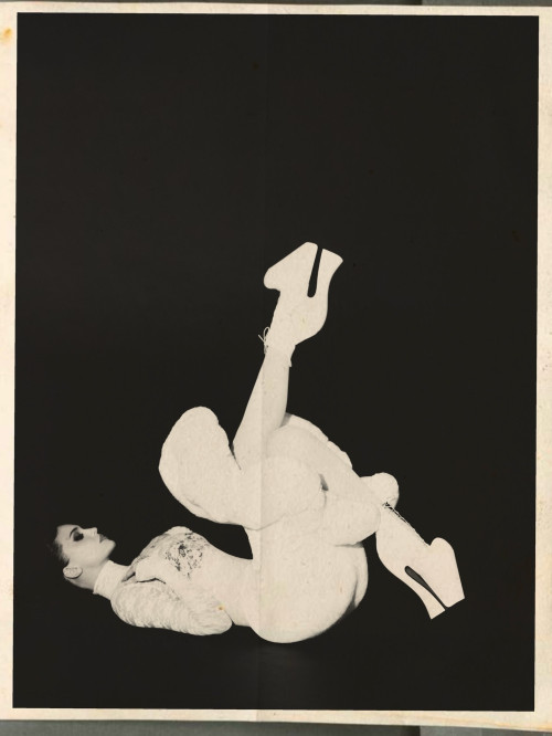 3150b1d5ca9574a0e591ead233125281