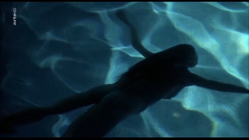 49bd1f5a2dbb4ebb57f14624ce571c3f