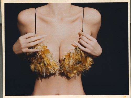 b15a6a9d6af1ea53a0f743b21dc9c146