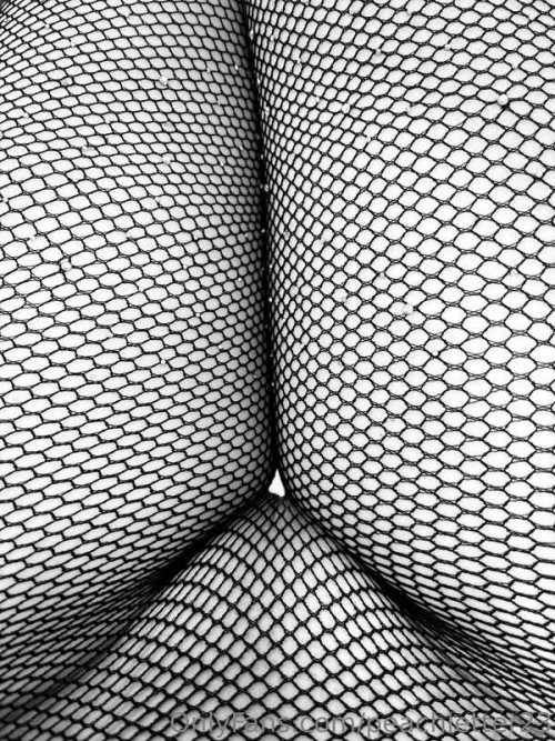 4d35ce8a99f280e9eb7e05332fe2e39b