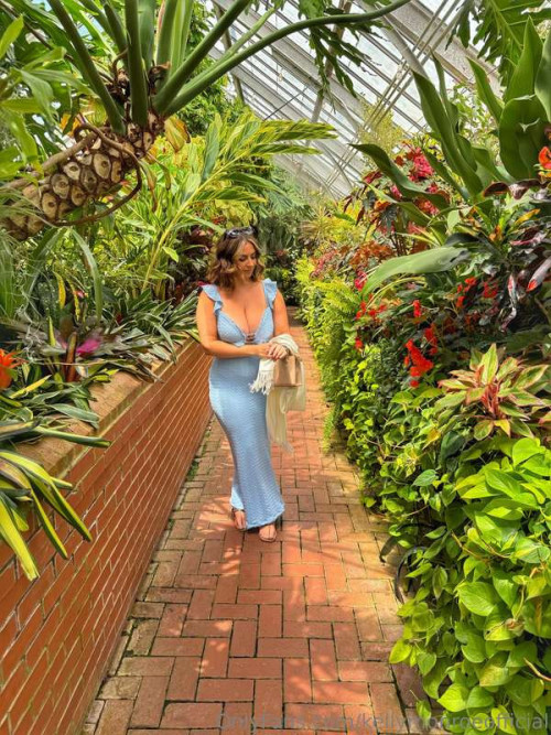 81d24394de442a9e059528cd68d0c970