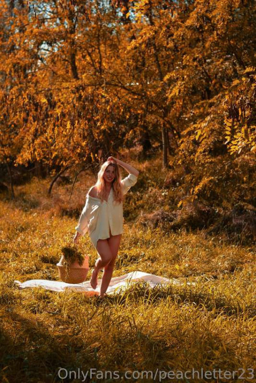 ed1d755555200cfa5240d870ea176606