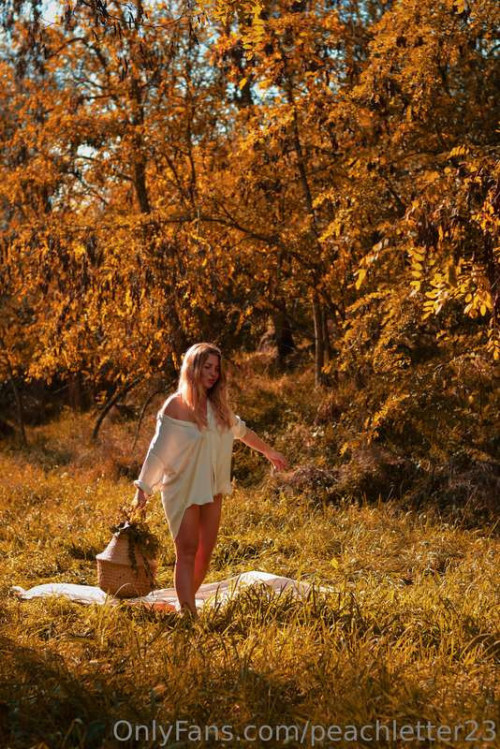 f277b942f5eebb60e4e2ce97d82fc762