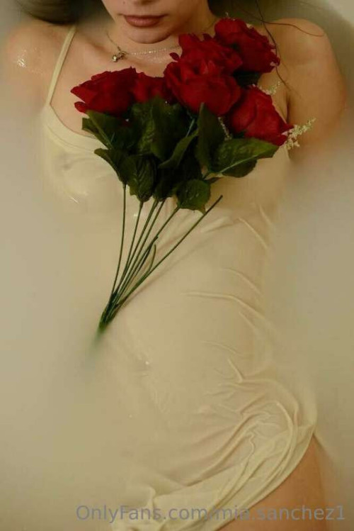 3d6a5de964bc241a578a1f3bb5fb0776