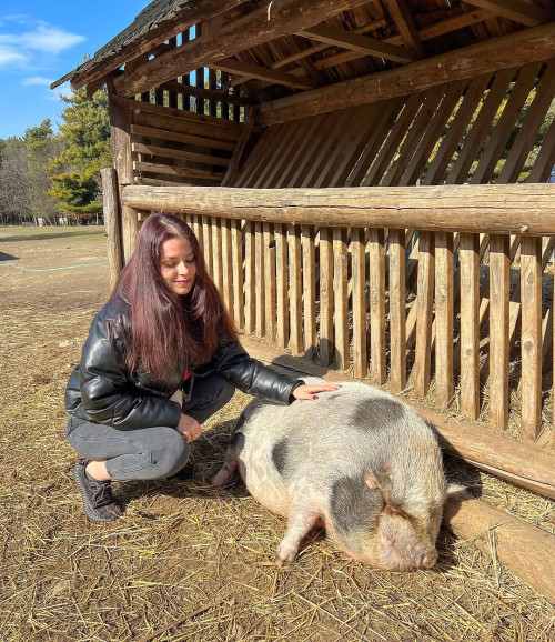 05aefdf3b2c61a2330f34ae2af805441