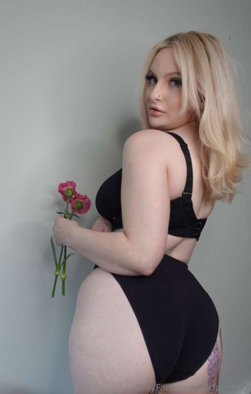 23d3fcf517a3e856888853ae4208fb56