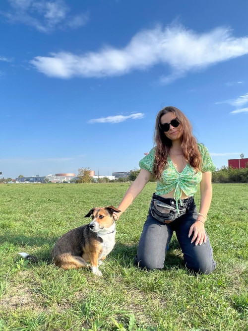 41b95d5493b11fcaeb678211e2c8ebd2